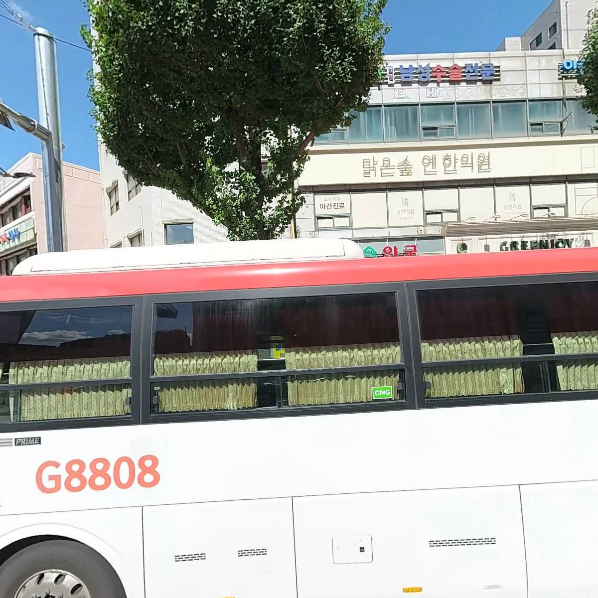 신원마그마