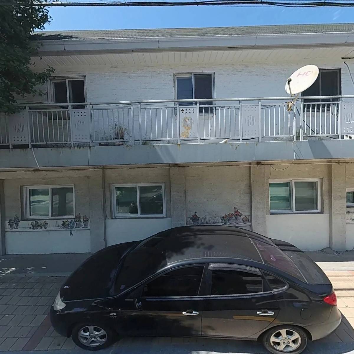 비오메디코리아