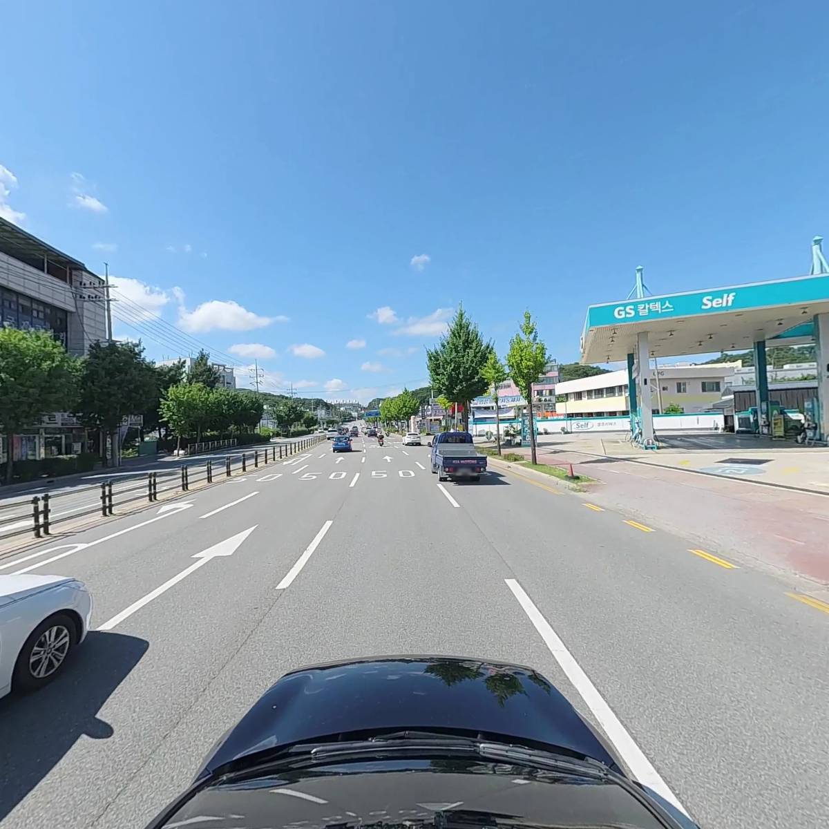 세중시트카바_4