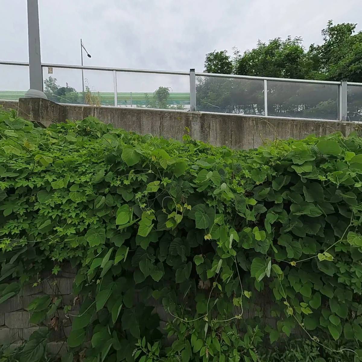 주식회사 애플하우시스_3