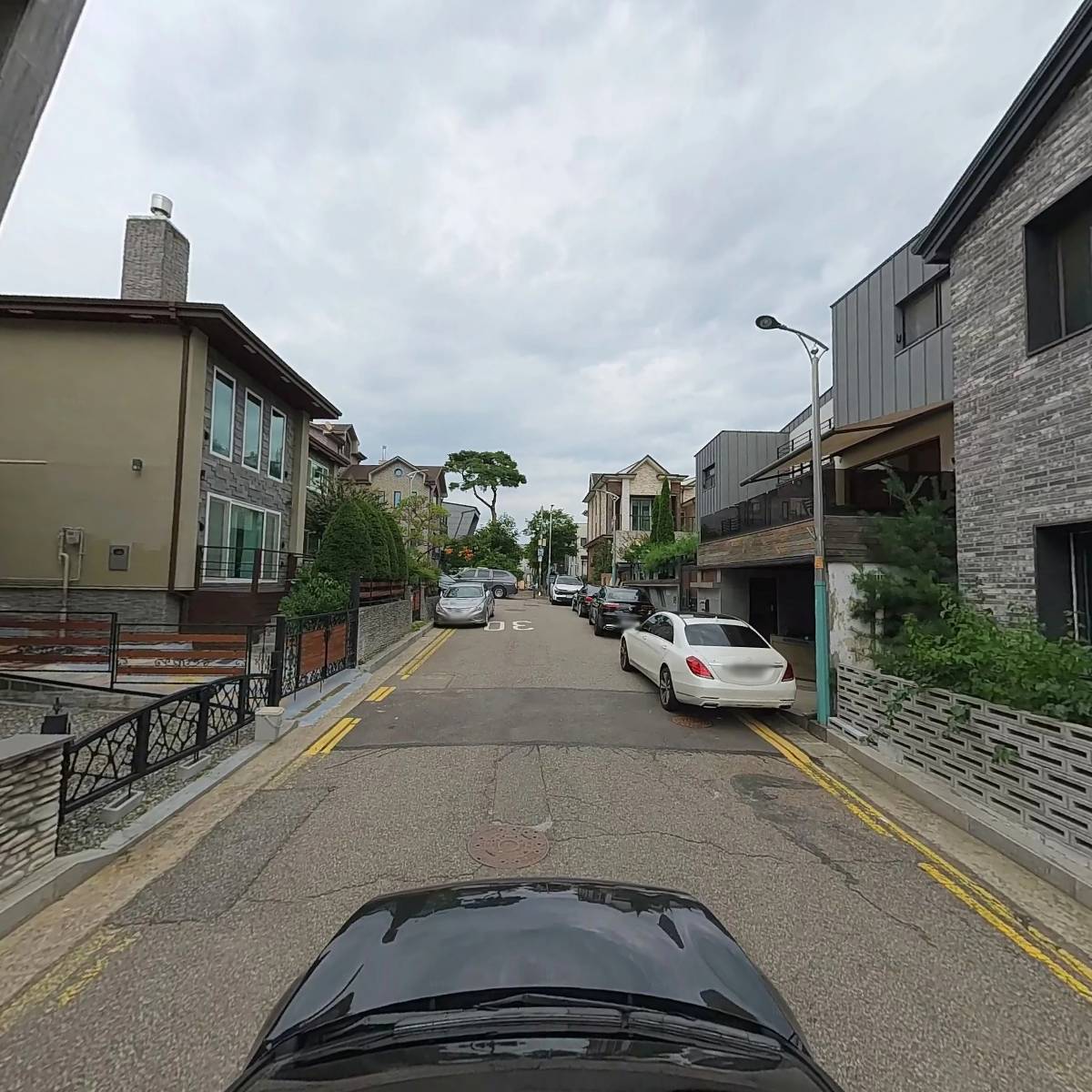 별하플레르_4