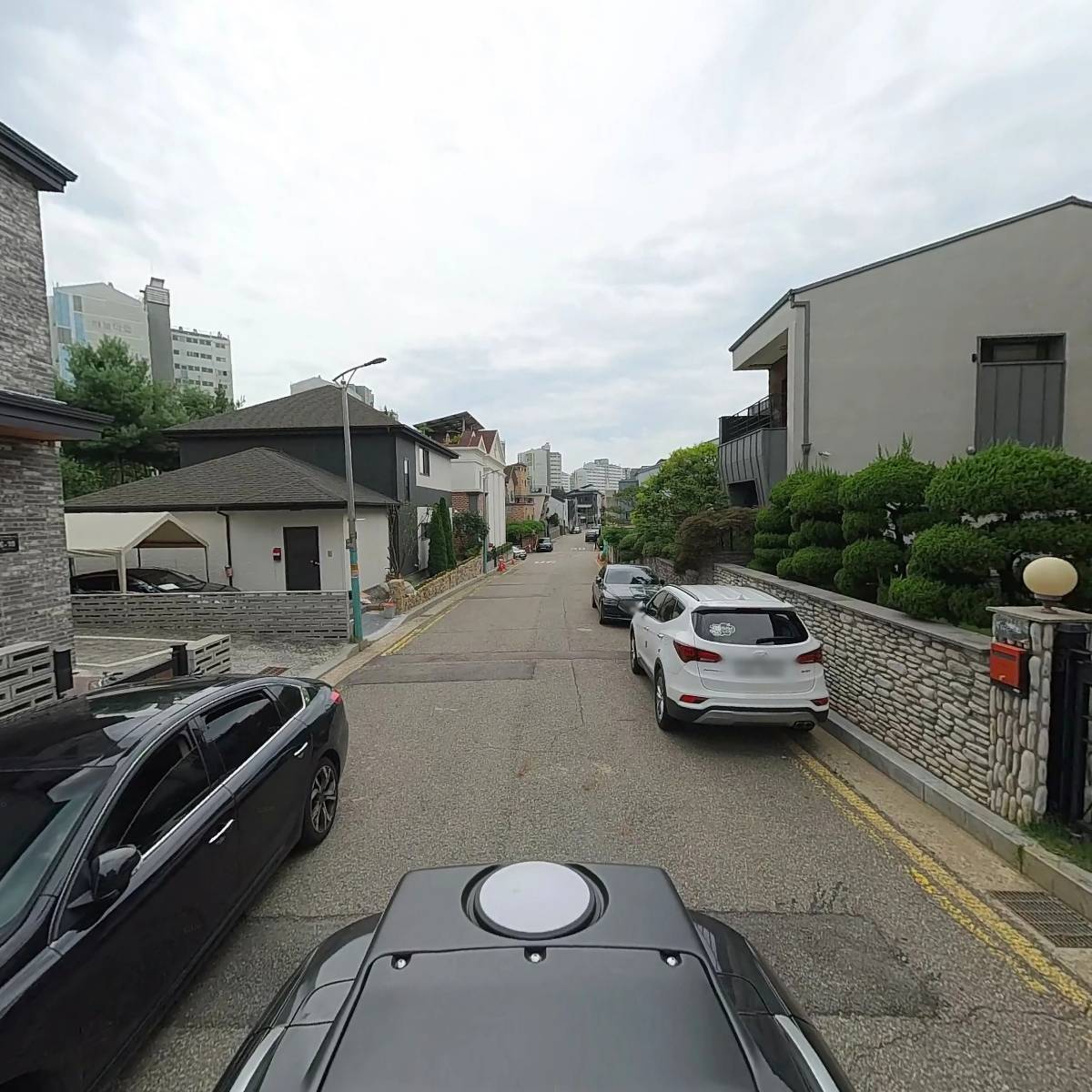 별하플레르_2