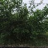 금평운수(주)_3