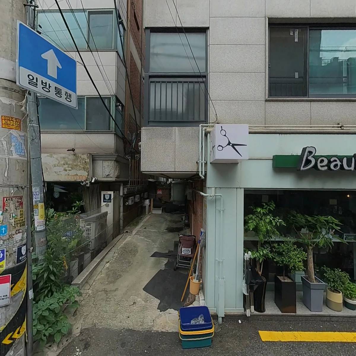 뷰티보