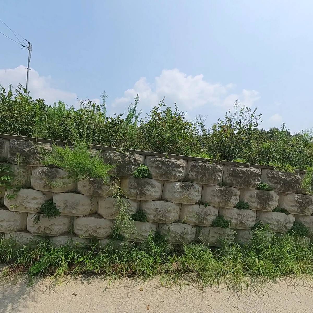 목재유산연구소_3
