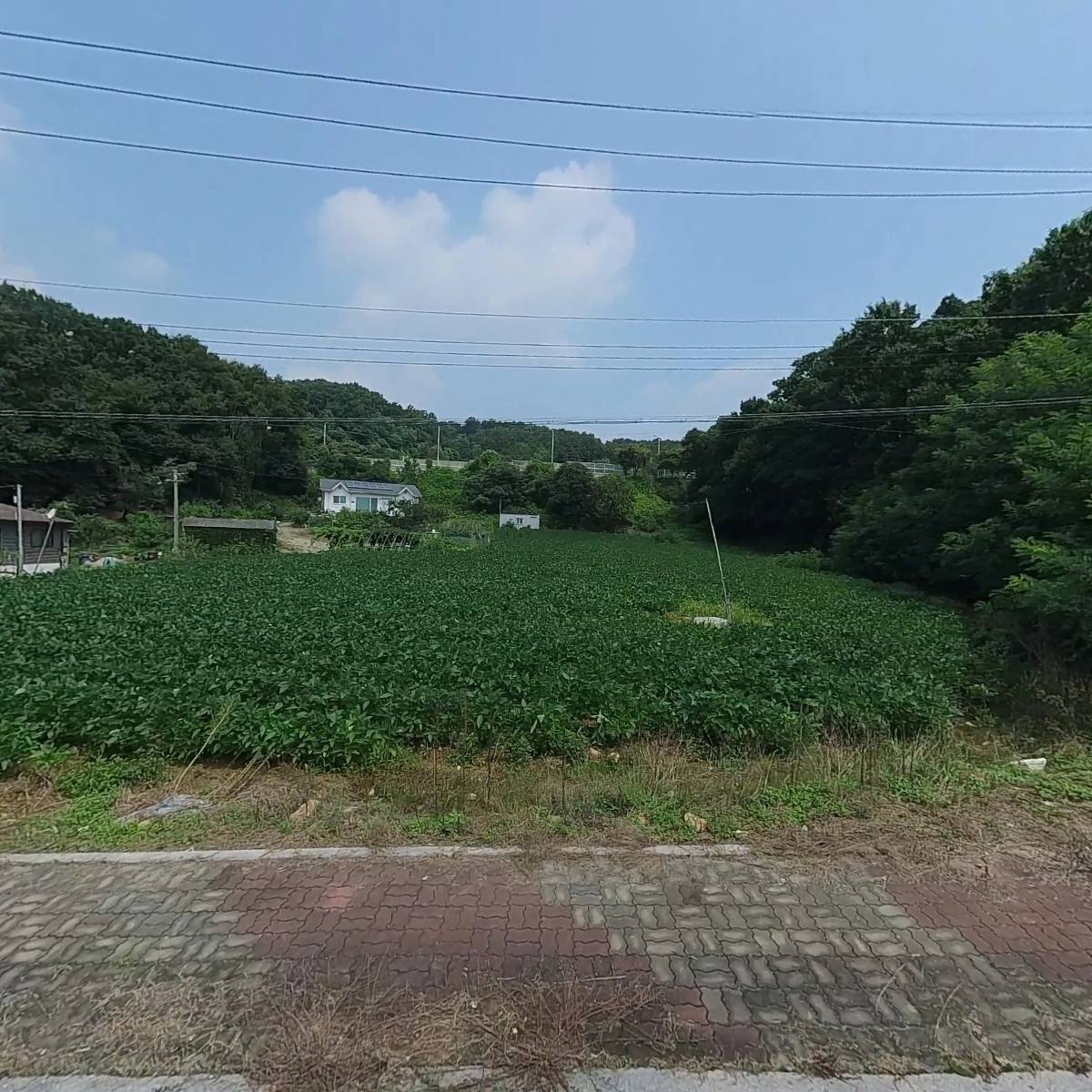 유한회사 세라비즈