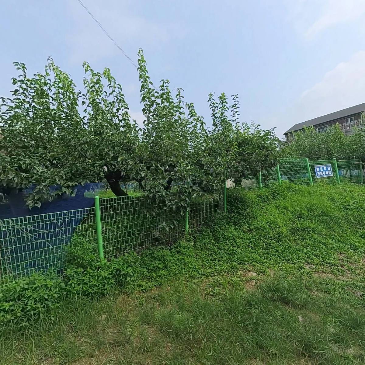 경은학교