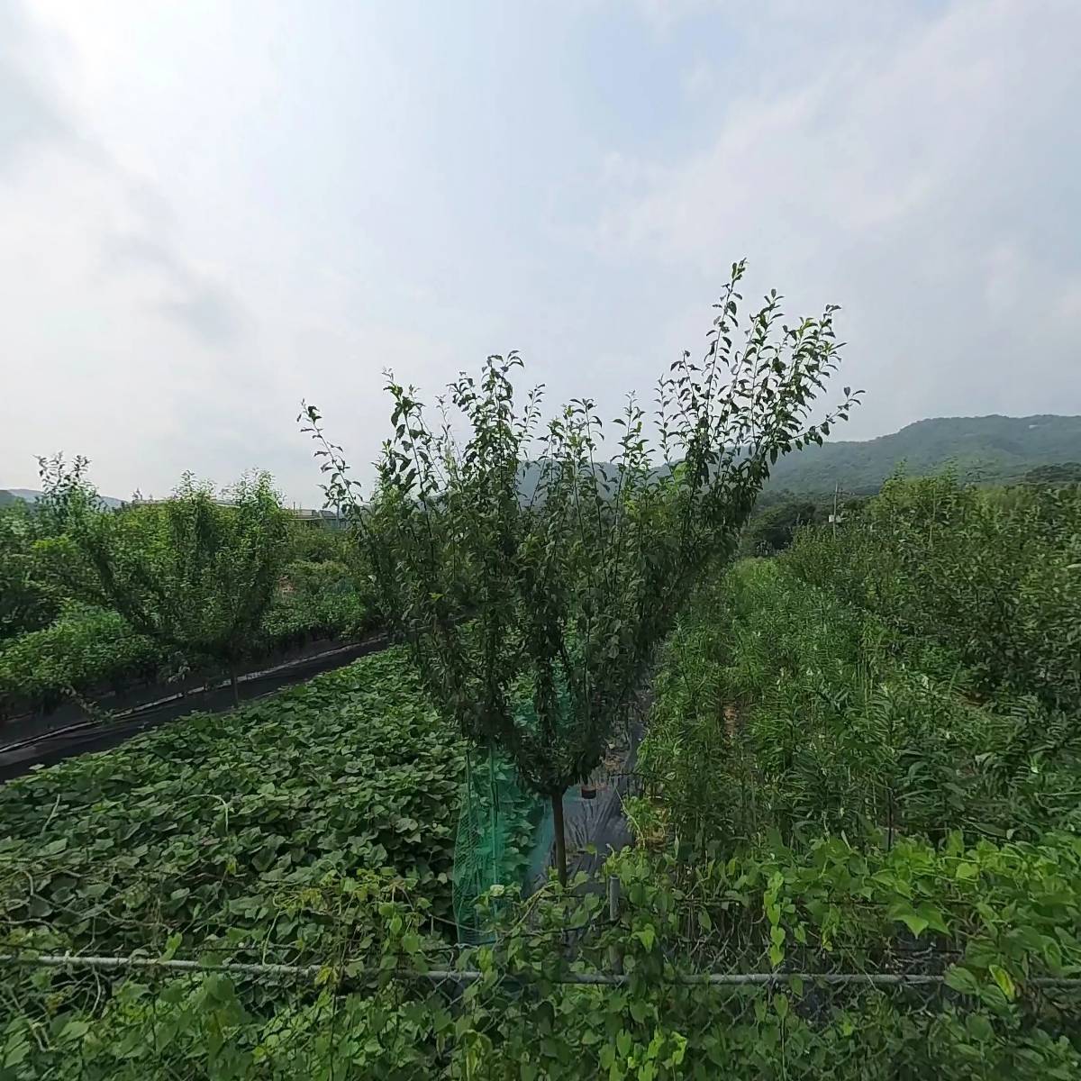 임정택_3