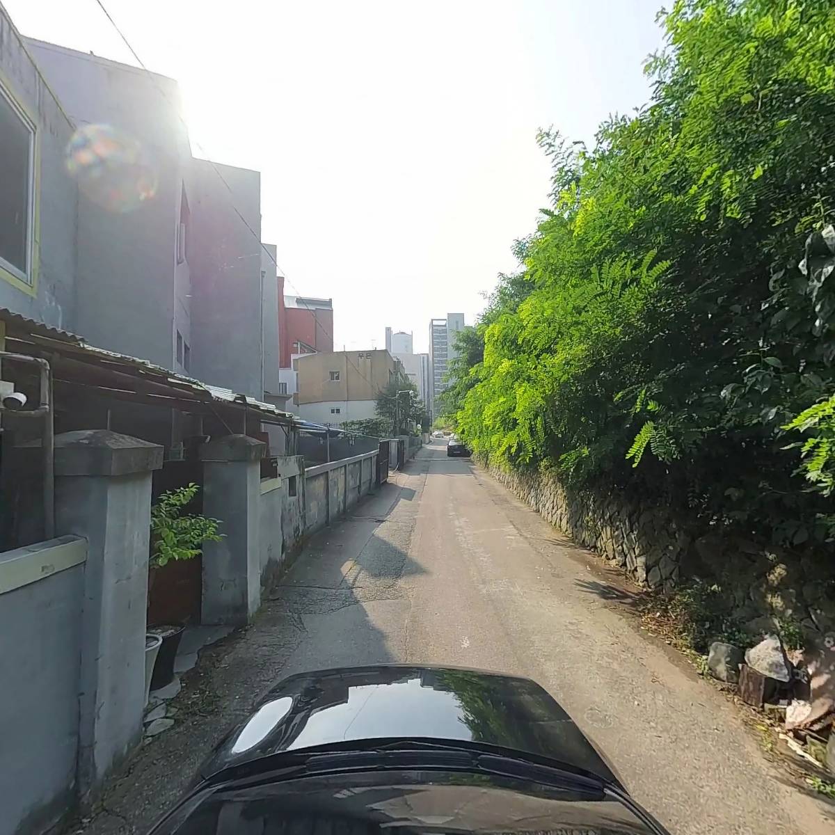 노블리스건강식품_4