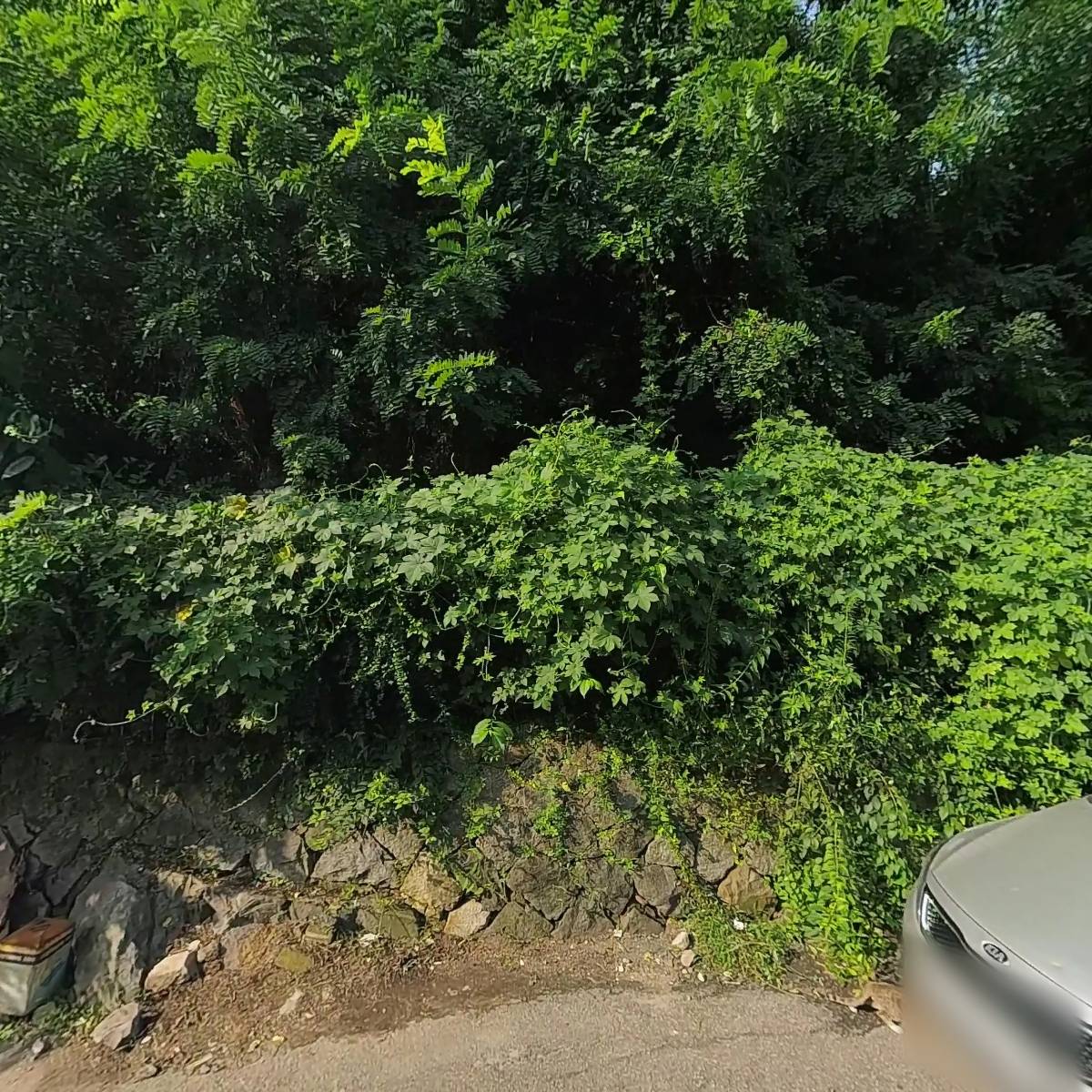 노블리스건강식품