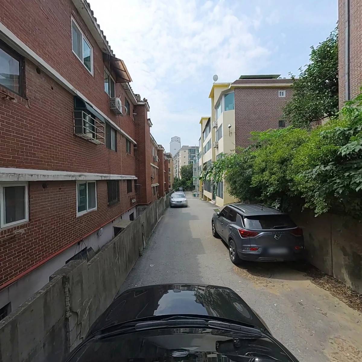 드림비드_4
