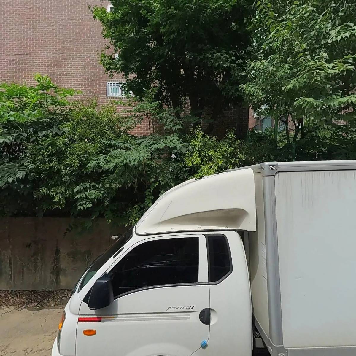 드림비드