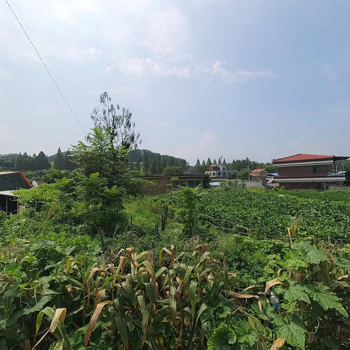 (주)대청측량_3