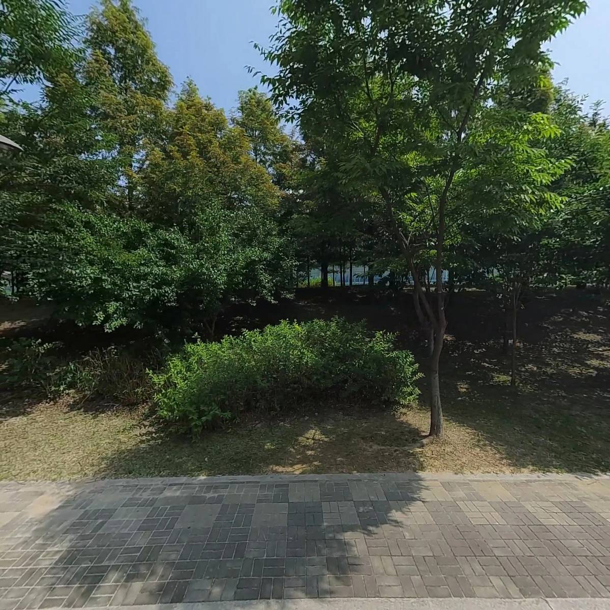 대한예수장로회 샘솟는 교회