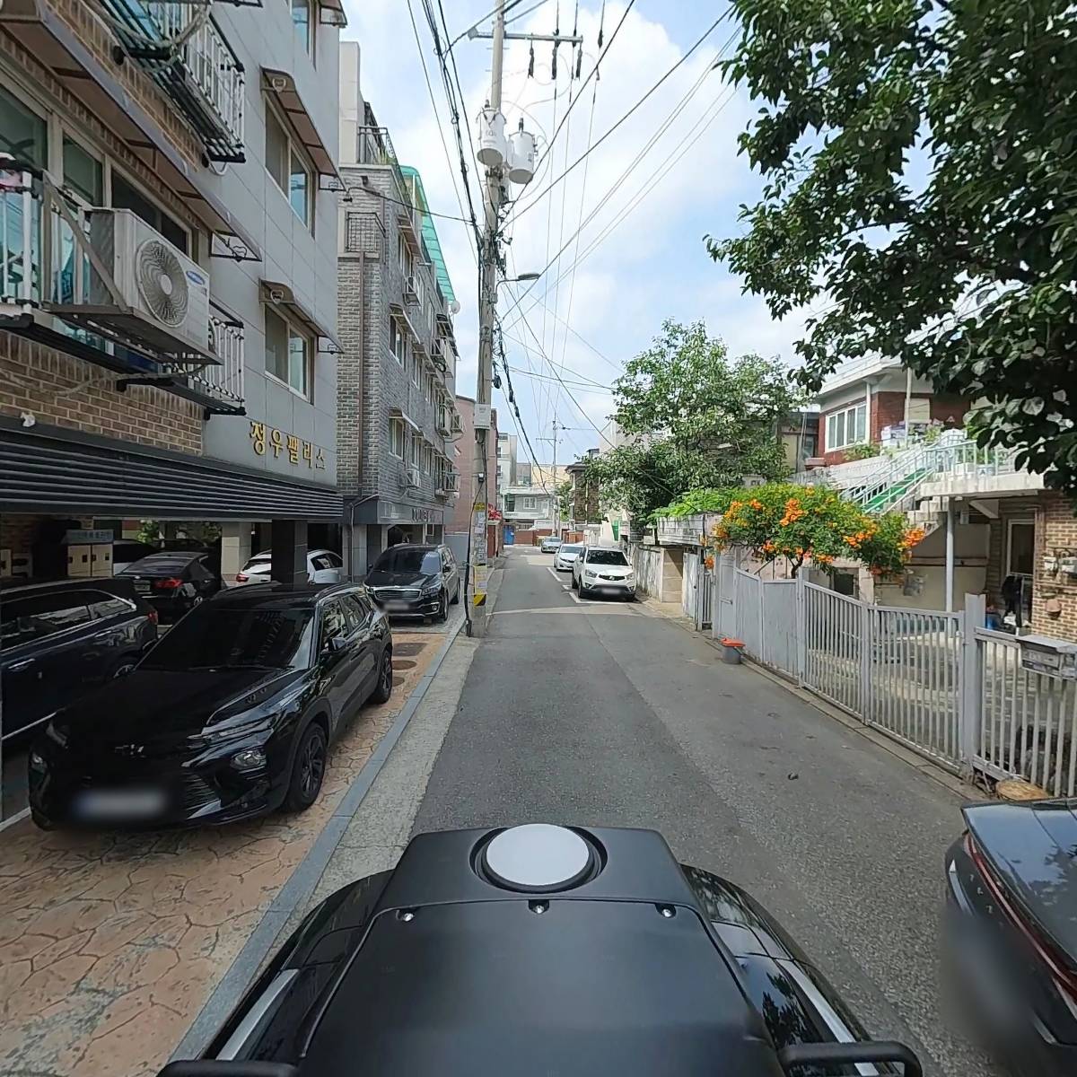 타로마녀 둔자_2