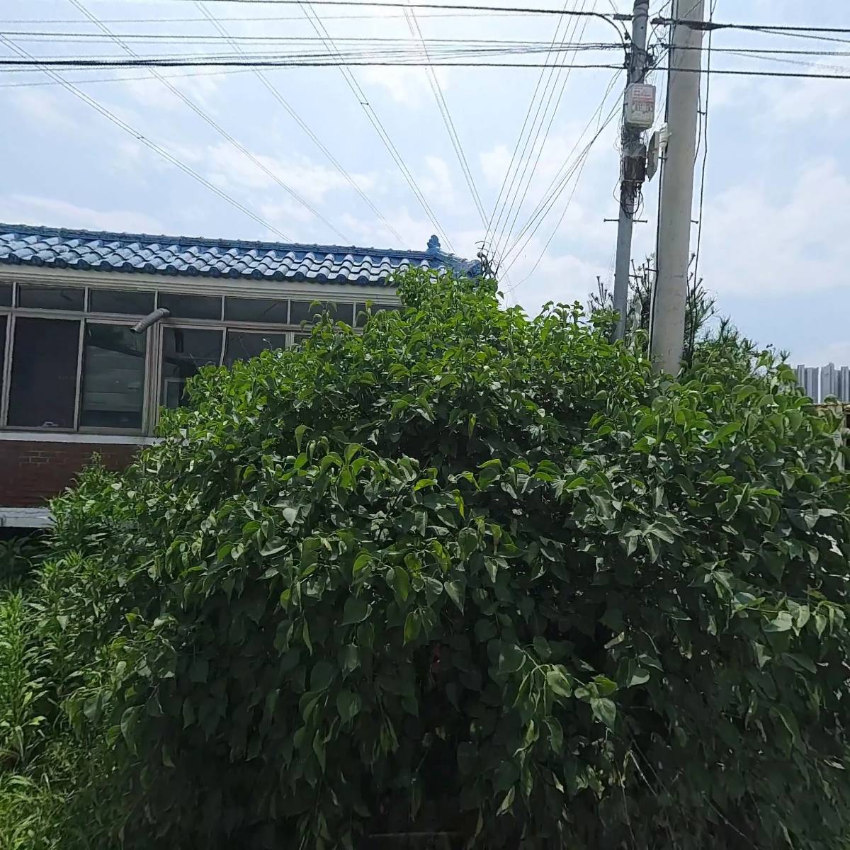 와이제이(YJ)시스템