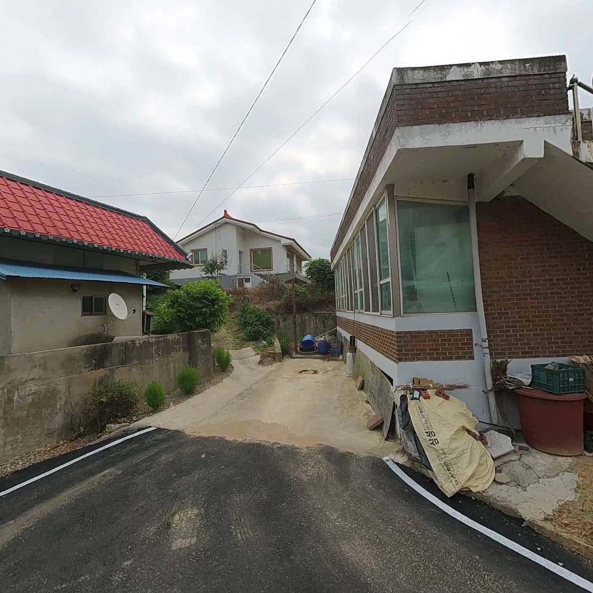 에스티와이(S.T.Y)