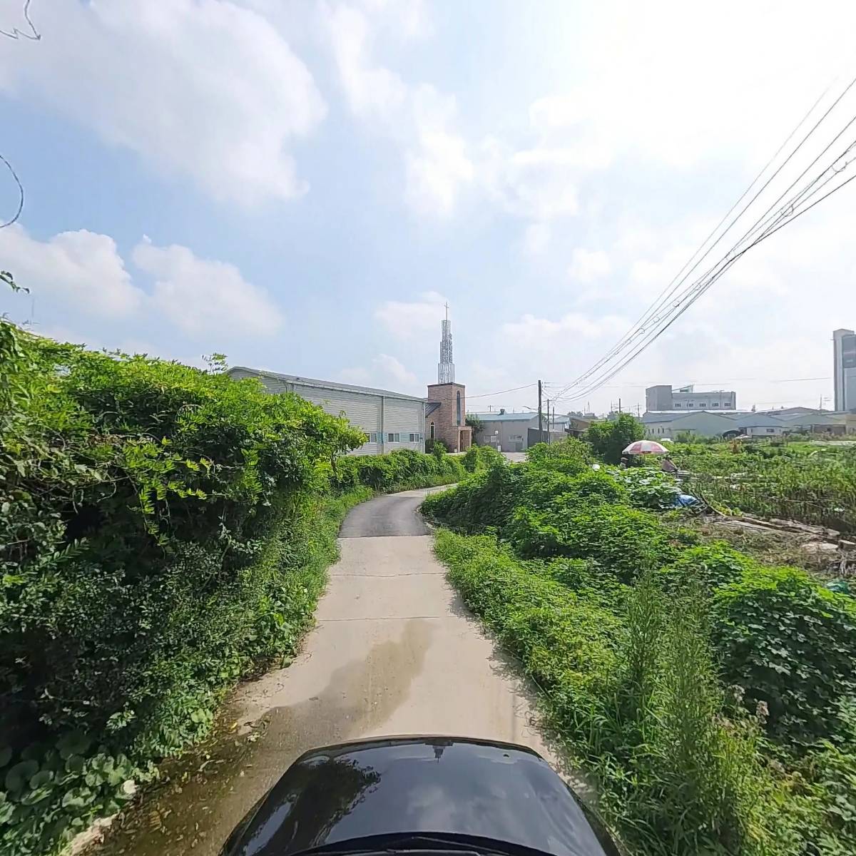 탐탐리즈_4