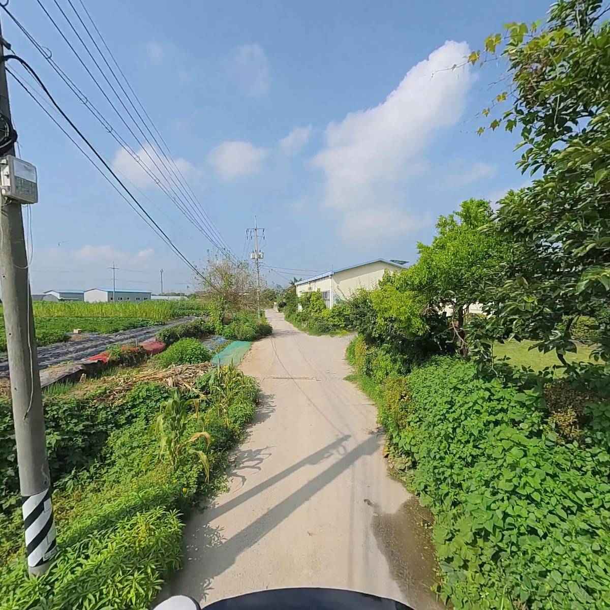 탐탐리즈_2