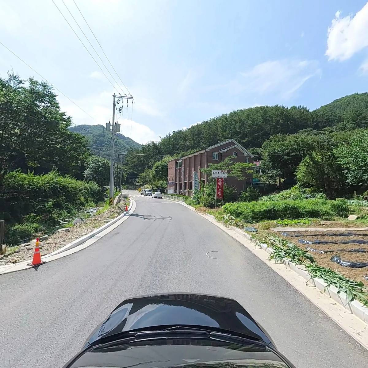 은행나무집_4
