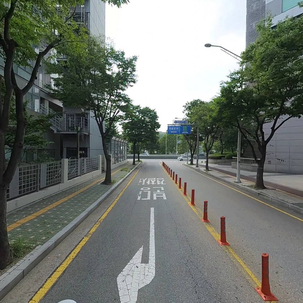 분당경찰서 녹색어머니연합회_2