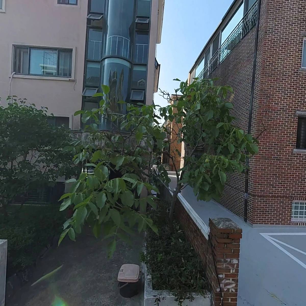 리몬트리(Limon Tree)