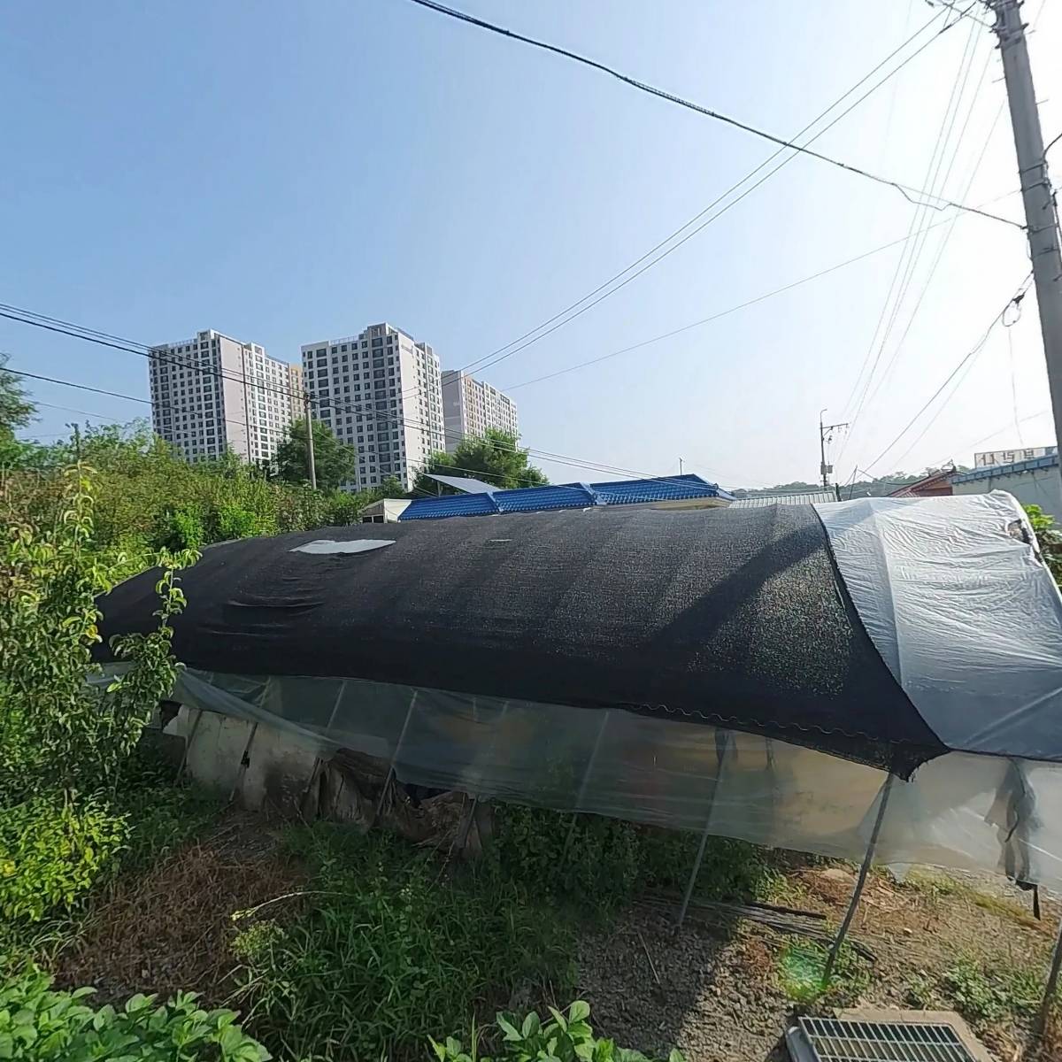 주식회사 랩터스