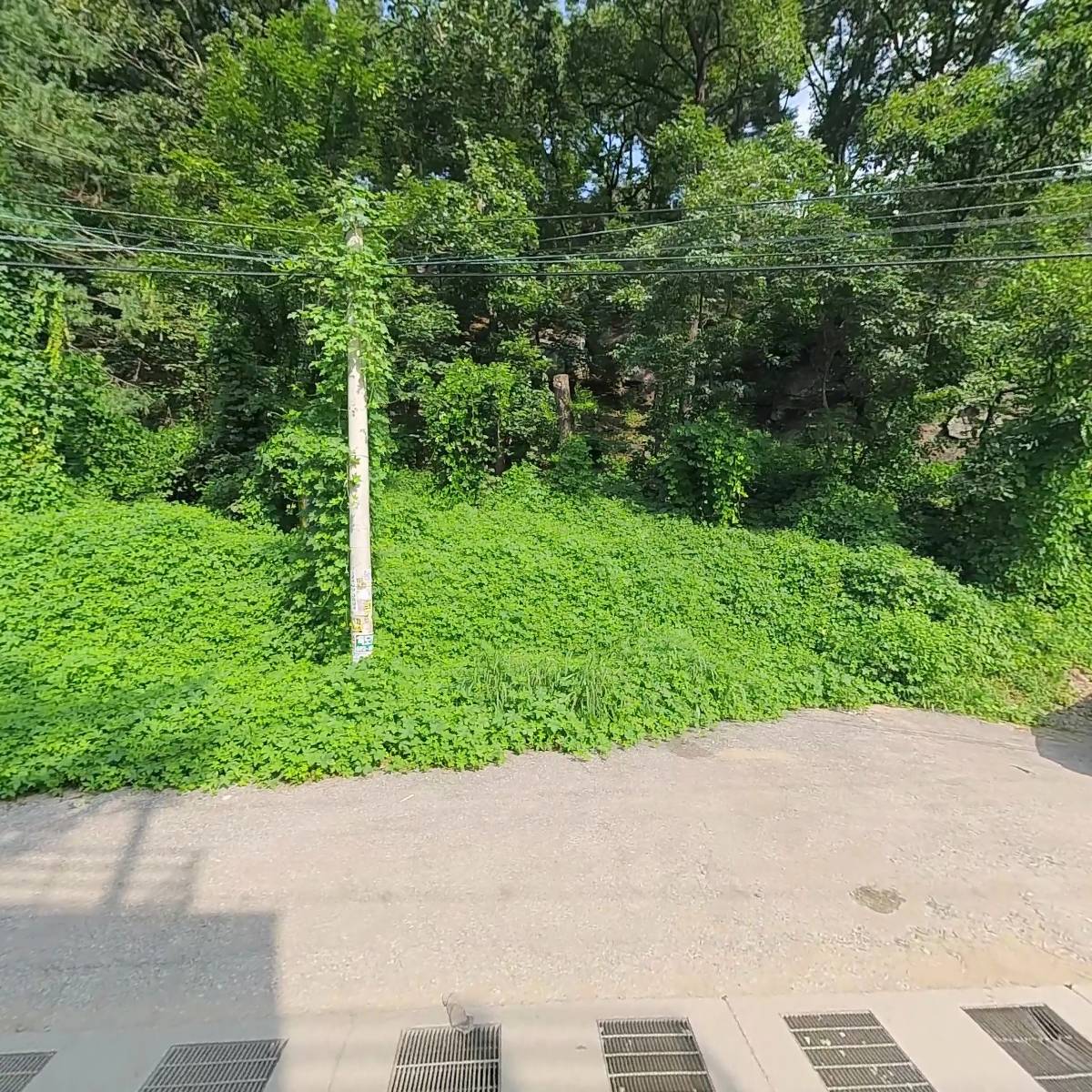 랑카페_3