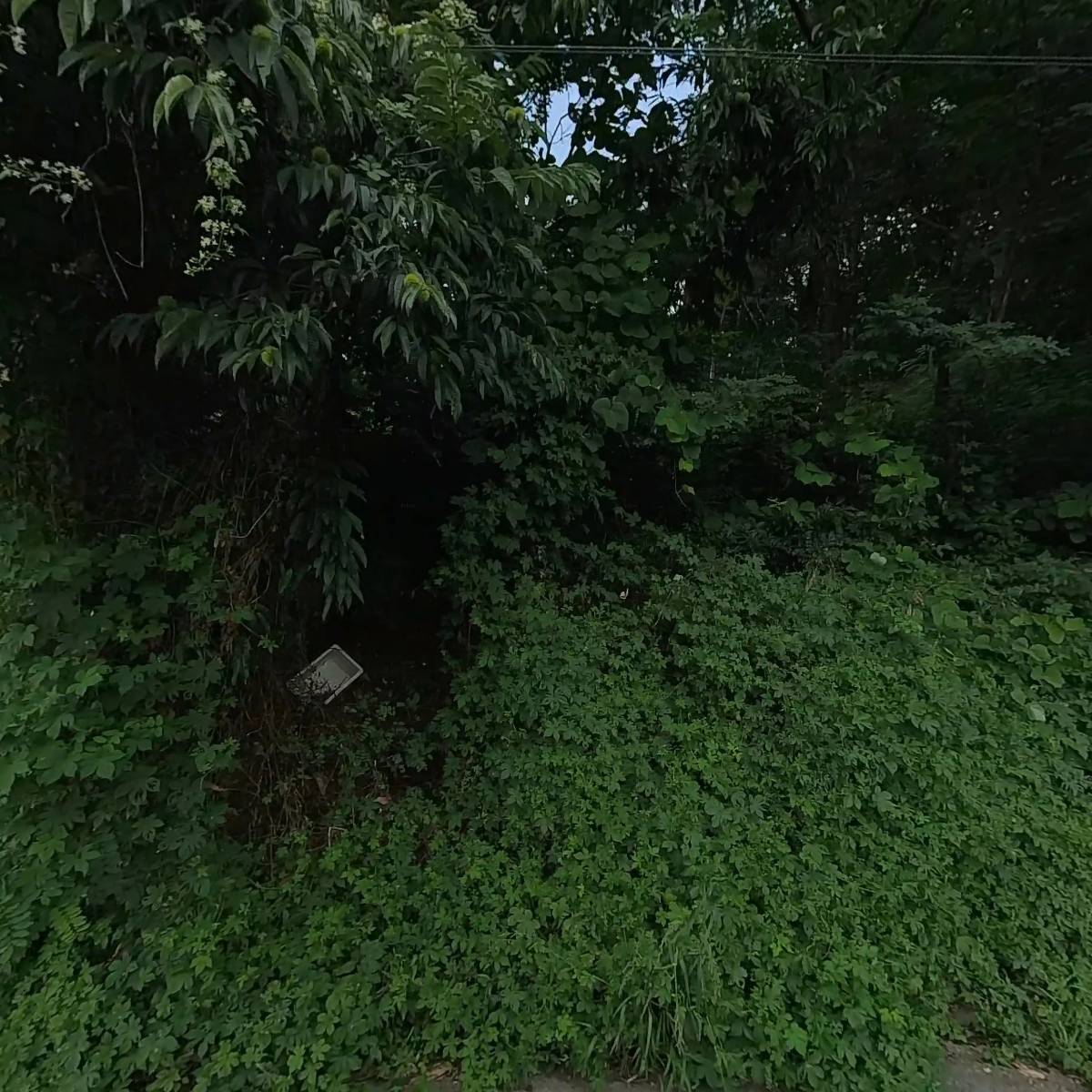 하님전사_3