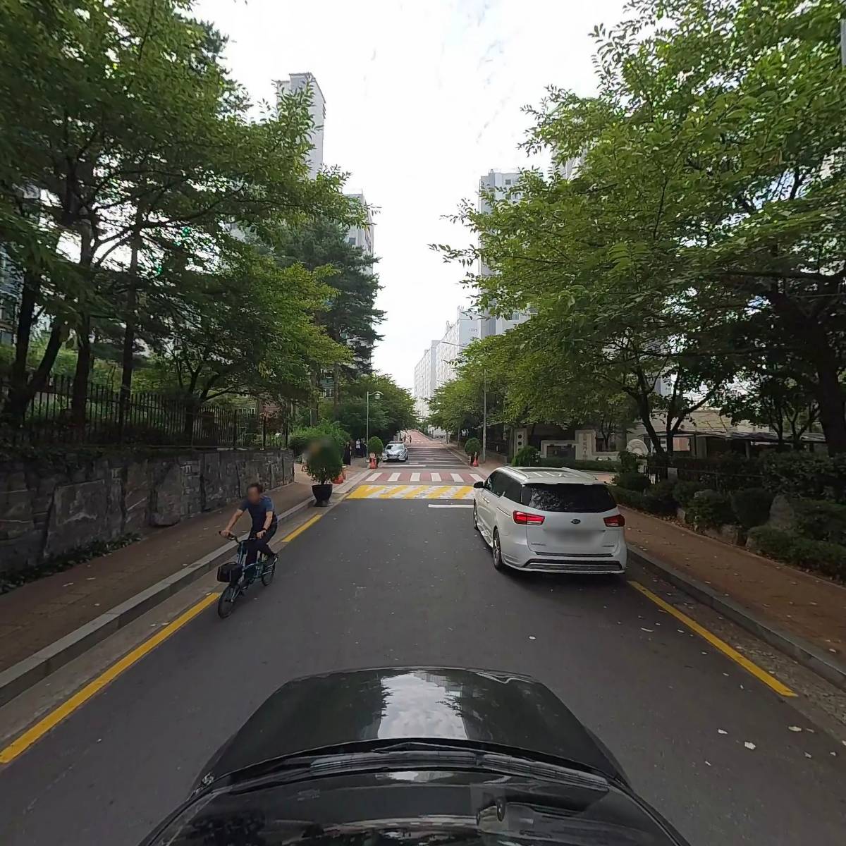 라쿤앤판다_4