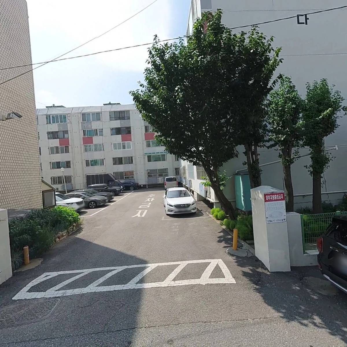 썸이브