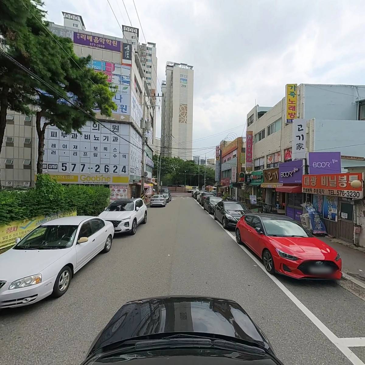 연안 반건조 생선_4