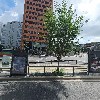 기빙트리_3