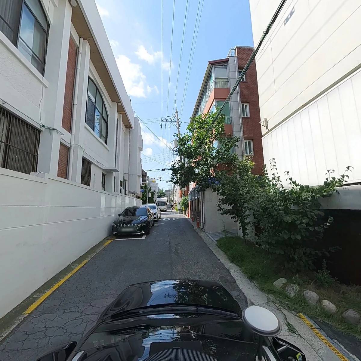 호시하나_4