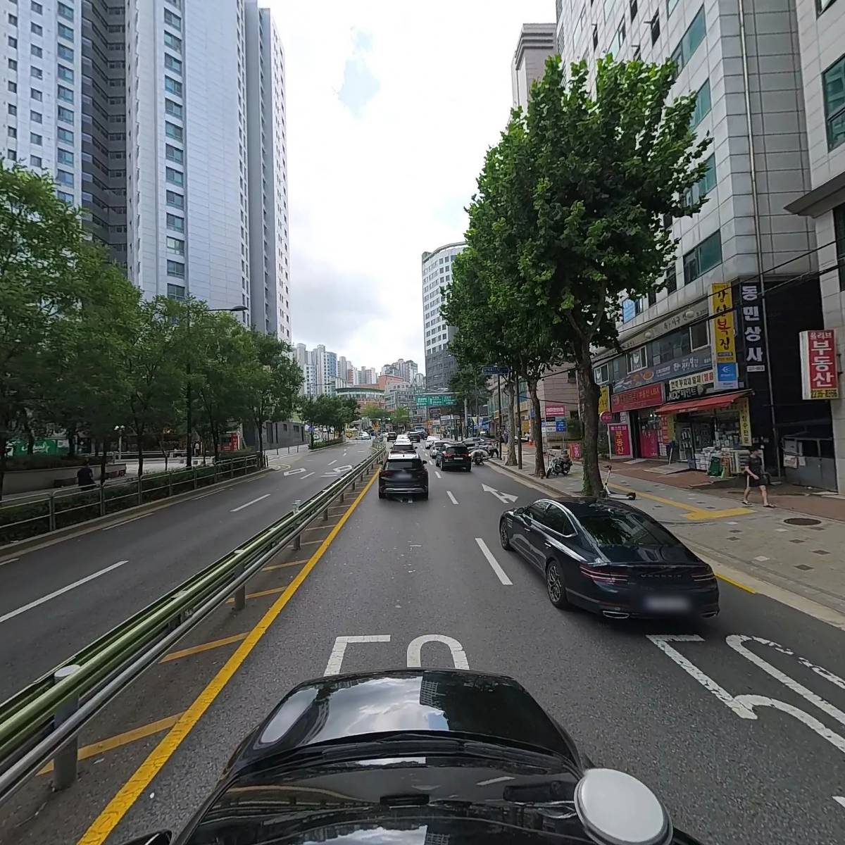 벡터(vctr)_4