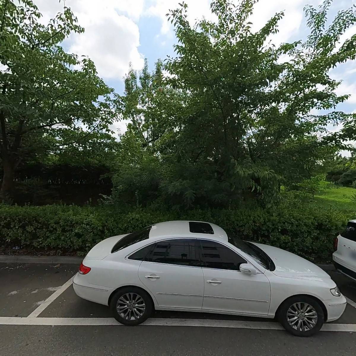 대성제관_3