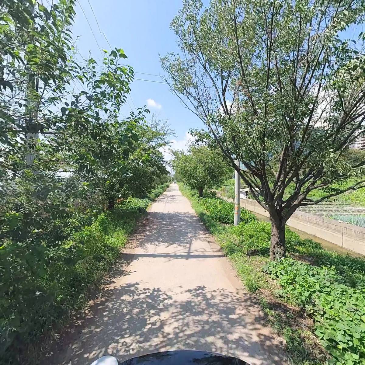 금낭산업_2
