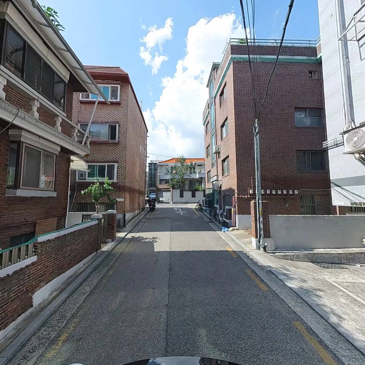 그리닝(Greening)_2