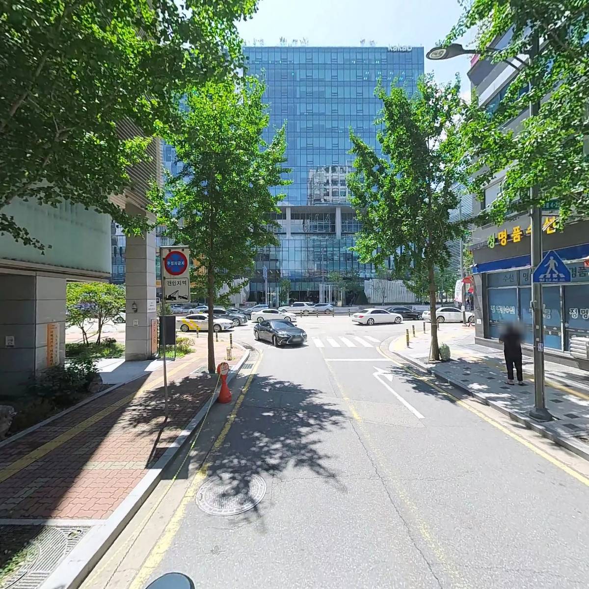 레이핏(RAY FIT)_2