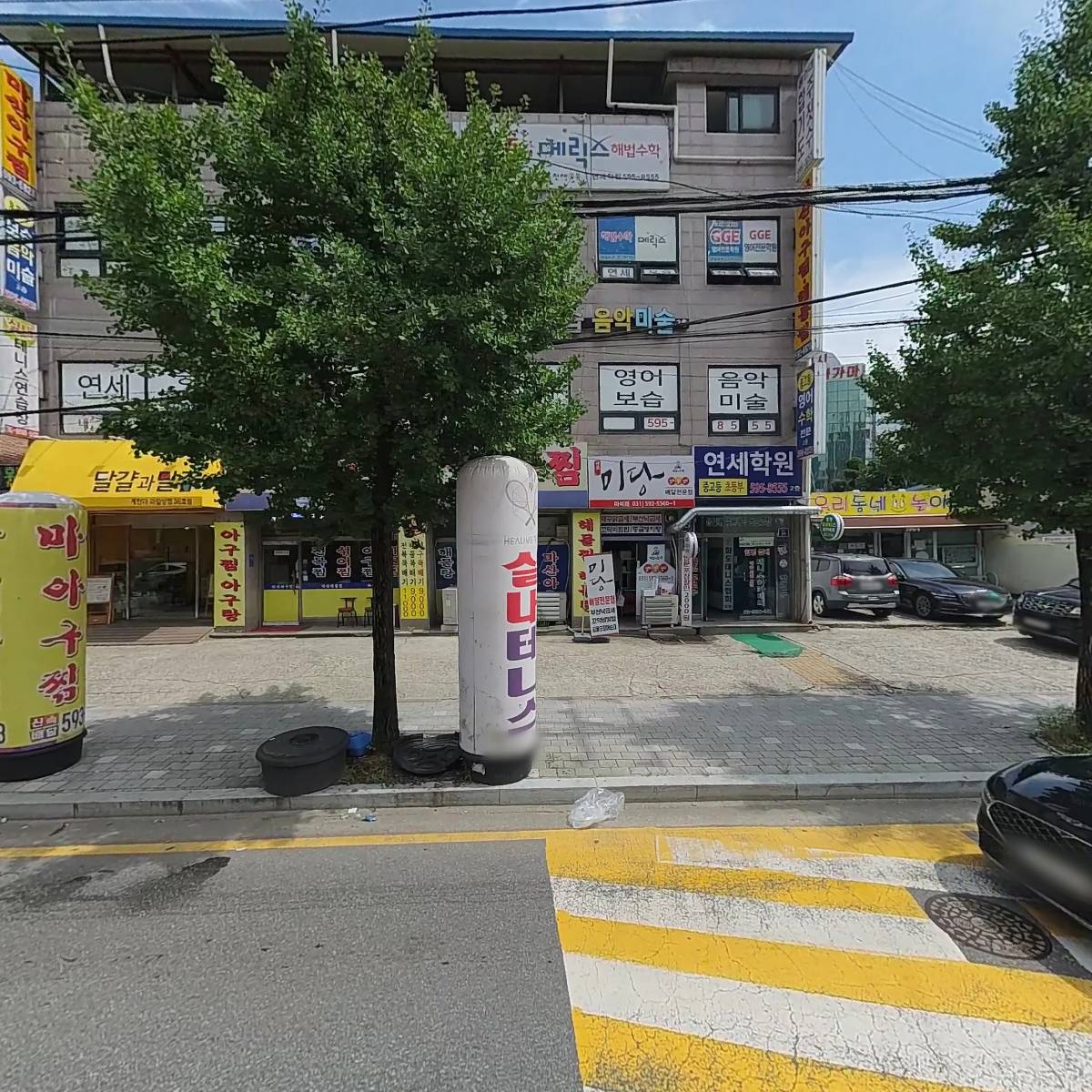 용인대 합기도 주짓수
