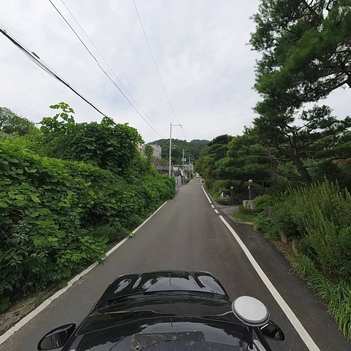 양만호_4