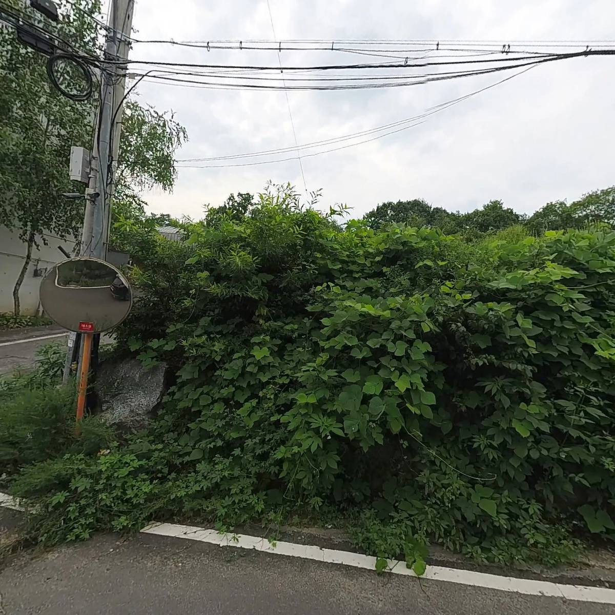 양만호_3