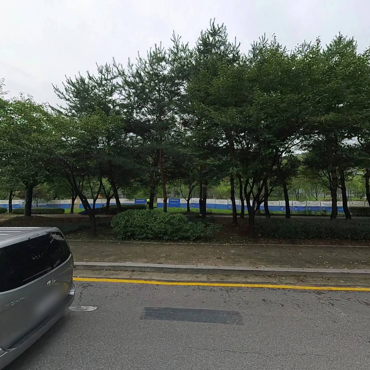 루시드웬디_3