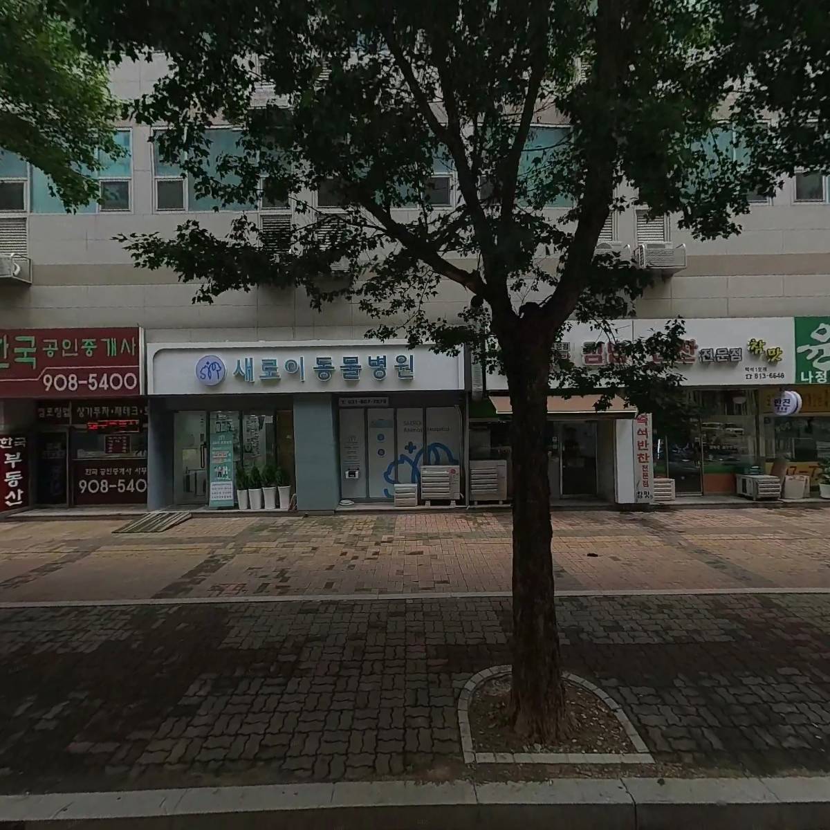 묘한언니