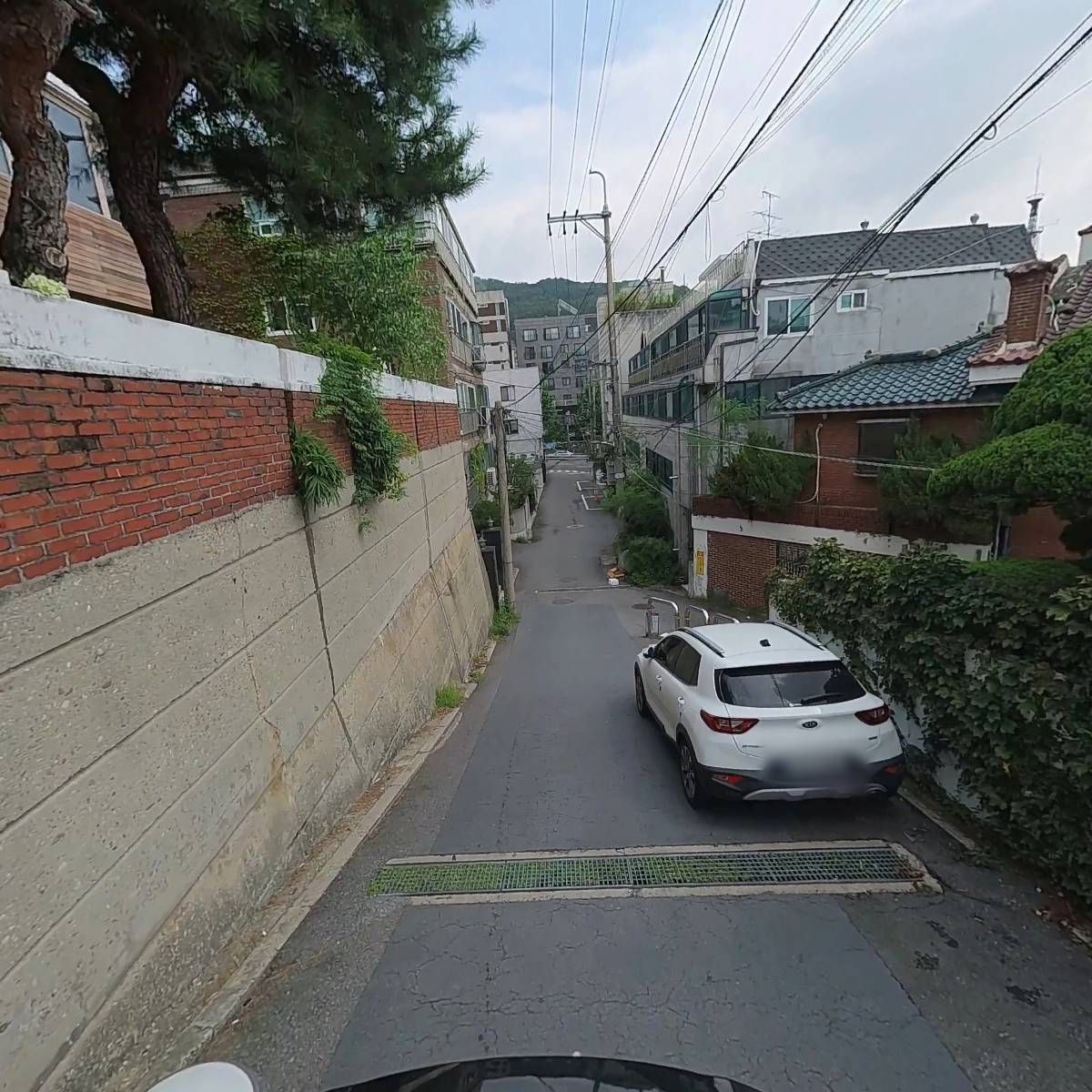 본지르르_2