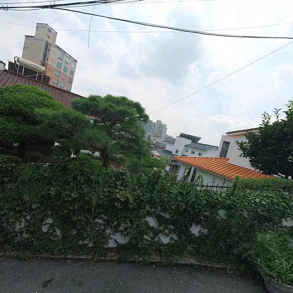 본지르르_3