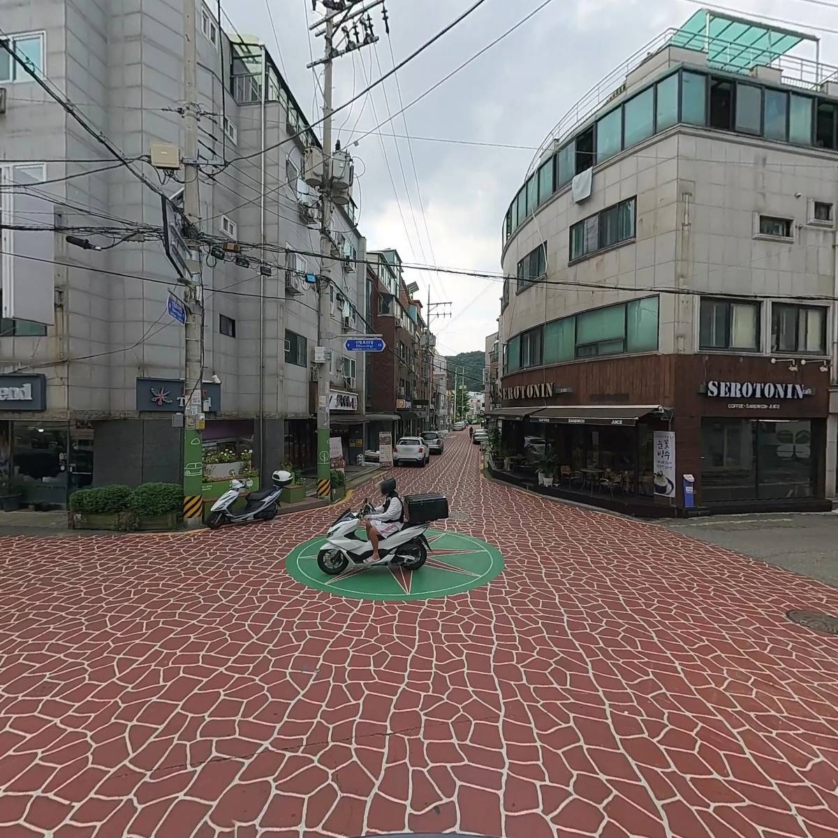모르비도_2