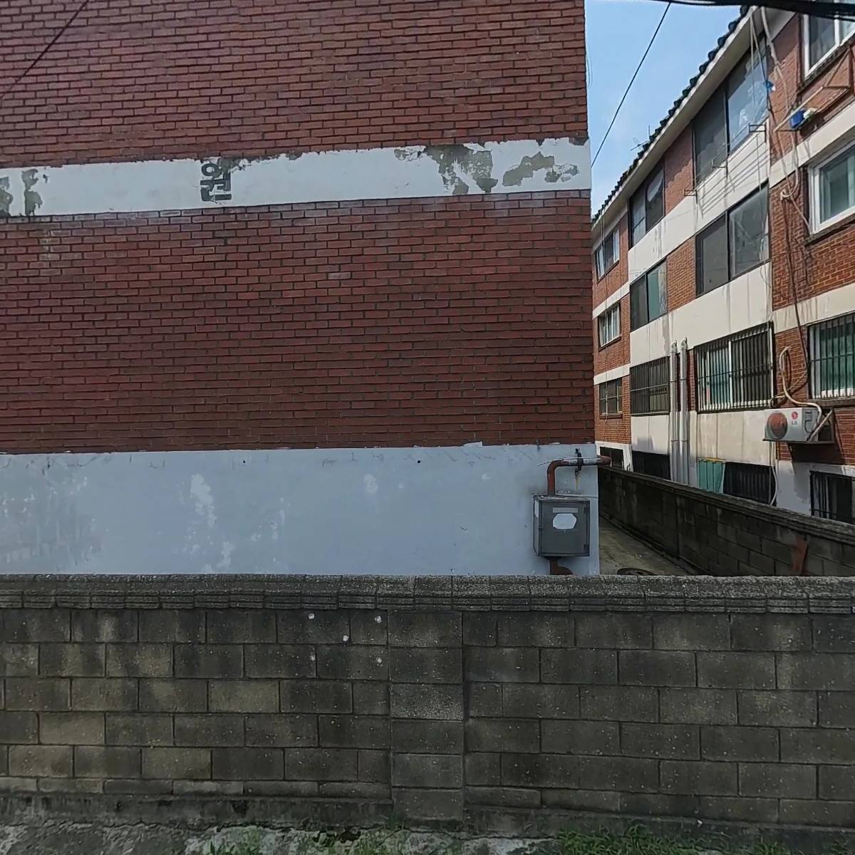 청소유학파
