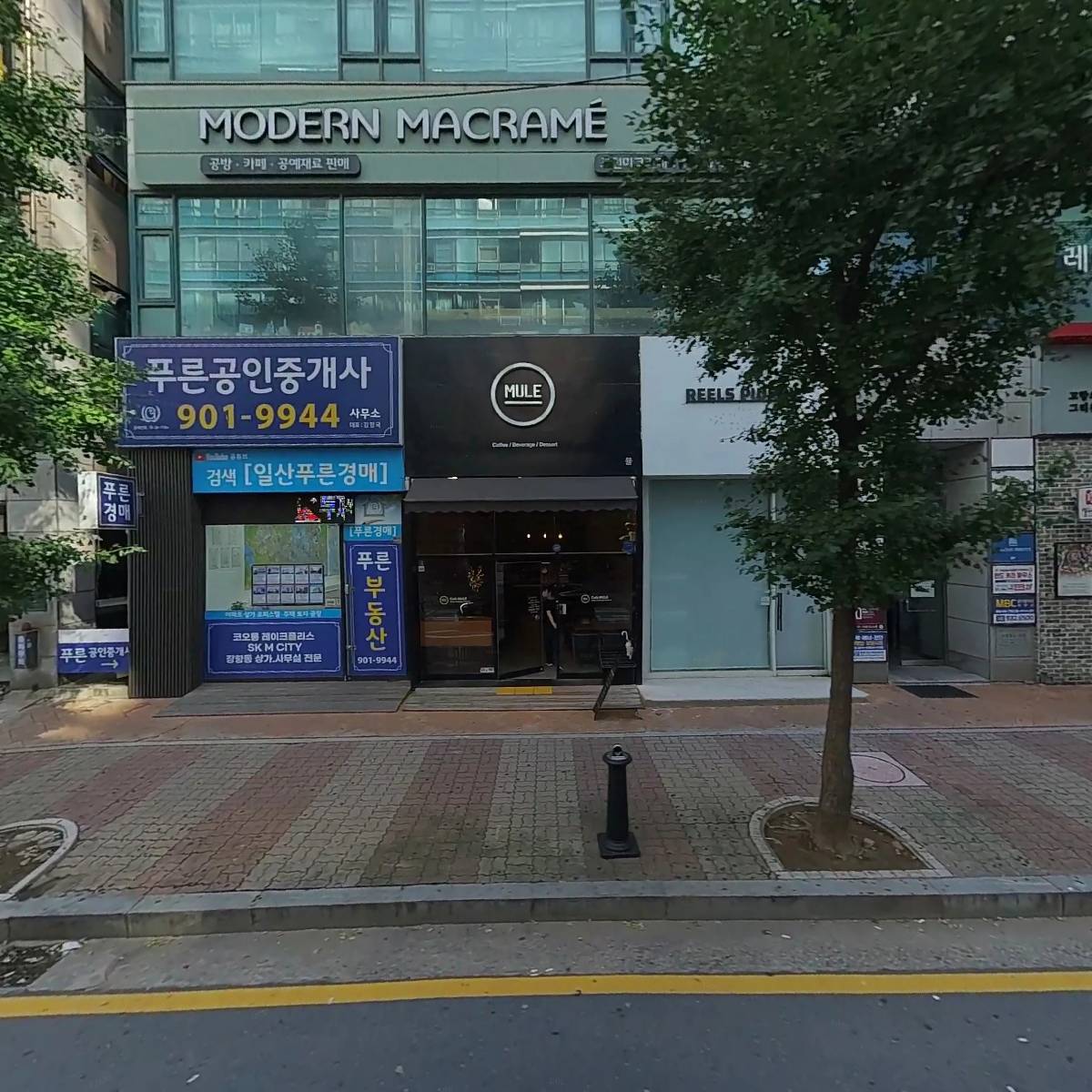 드림하이 유학컨설팅