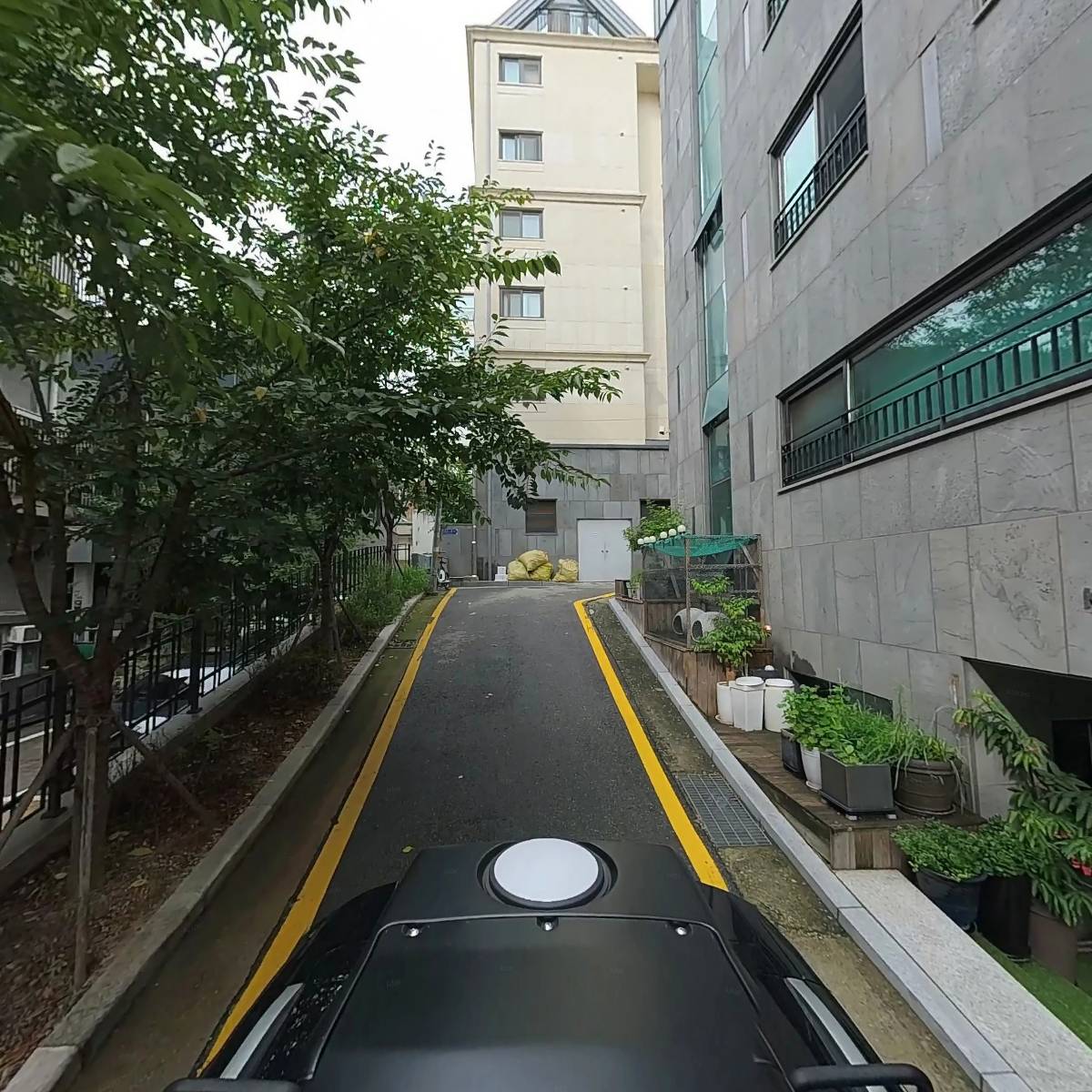 유킹스파머시 메디바움 약국_2